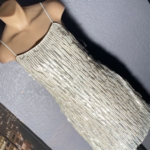 ALTAR’D STATE - dress: silver mesh w allover sequin fringe, lined w zipper - XL